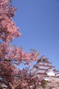 Aizuwakamatsu Castle and cherry blossom Royalty Free Stock Photo