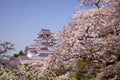 Aizuwakamatsu Castle and cherry blossom