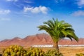 Ajaches mountain in Lanzarote Punta Papagayo Royalty Free Stock Photo