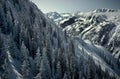 Ajax Mountain and Buttermilk