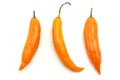 Aji amarillo Royalty Free Stock Photo