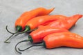 Aji amarillo hot chili peppers on stone background Royalty Free Stock Photo