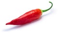 Aji Cristal chile-Capsicum baccatum, paths Royalty Free Stock Photo