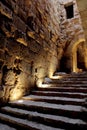 Ajloun castle in Jordan