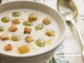 Ajo Blanco- White Garlic Soup Royalty Free Stock Photo