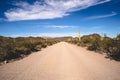 Ajo Mountain Drive, an unpaved road through Organ Pipe Cactus National Monument in Arizona Royalty Free Stock Photo