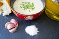 Ajoblanco o white gazpacho, popular cold soup Royalty Free Stock Photo