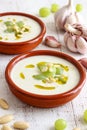 Ajoblanco Spanish Garlic Soup Royalty Free Stock Photo