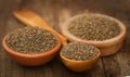 Ajwain seeds Royalty Free Stock Photo