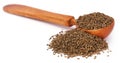 Ajwain seeds in a wooden spoon Royalty Free Stock Photo