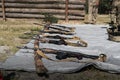 AK-74 submachine guns lie in a row on training places