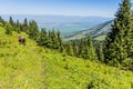 AK SUU, KYRGYZSTAN - JULY 19, 2018: Horse riding tourist with a guide near Ak Suu Teploklyuchenka village near Karakol