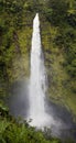 Akaka Falls Royalty Free Stock Photo