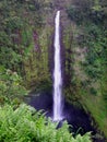 Akaka Falls Royalty Free Stock Photo