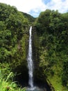 Akaka Falls, Big Island, Hawaii Royalty Free Stock Photo
