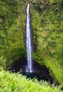 Akaka Falls, Big Island, Hawaii Royalty Free Stock Photo