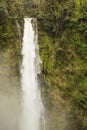 Akaka Falls frozen