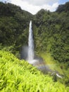 Akaka Falls Hawaii Royalty Free Stock Photo