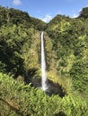 Akaka Falls Hawaii United States Royalty Free Stock Photo