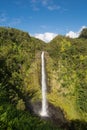 The Akaka Falls, Hawaii Royalty Free Stock Photo