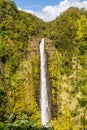 The Akaka Falls, Hawaii Royalty Free Stock Photo