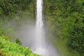 Akaka falls hawaii Royalty Free Stock Photo