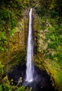 Akaka Falls Royalty Free Stock Photo