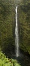 Akaka Falls Panorama, Hawaii Royalty Free Stock Photo