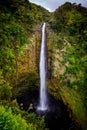 Akaka Falls 2 Royalty Free Stock Photo