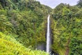 Akaka Falls waterfall in Hawaii Royalty Free Stock Photo