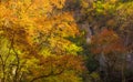 Akame Creek in Nabari, Mie, Japan