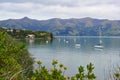 Akaroa Harbor in New Zealand Royalty Free Stock Photo