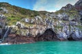 Sea caves at the Akaroa marine reserve, New Zealand