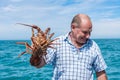 AKAROA, NEW ZEALAND, JANUARY 22, 2020: Freshly caught crayfish at Banks peninsula, New Zealand