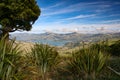 Akaroa, New Zealand Royalty Free Stock Photo