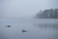 Ake and island or peninsula with trees with rime frost in background