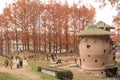 Akebono Children`s Forest Park at Hanno City