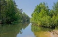 Forest lake in the flemish countryside