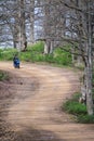 Akfadou forest in Bejaia, Algeria,