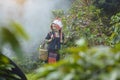 Akha woman picking red coffee beans Royalty Free Stock Photo