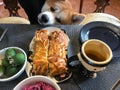 Akita breed dog looks at the table with a meat pie with lust