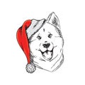 Akita dog in Santa Claus hat