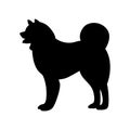 Akita dog, vector illustration,black silhouette