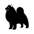Akita dog, vector illustration, black silhouette,
