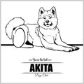 Akita Dog - vector illustration for t-shirt, logo and template badges