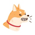 Akita Inu Dog and Domestic Animal or Pet Gnar Vector Illustration