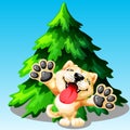 Akita Inu dog and fir tree Royalty Free Stock Photo