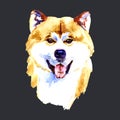 Akita Inu portrait watercolor illustration. Hand drawn dog isolated on black background.