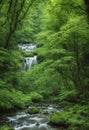 summer waterfall in the forest Royalty Free Stock Photo