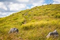 Akiyoshi Plateau Hilltop Trail, Yamaguchi Royalty Free Stock Photo